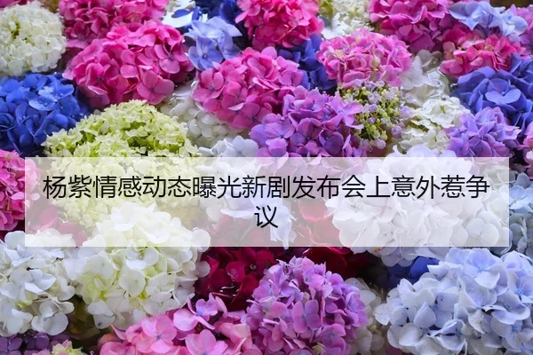杨紫情感动态曝光新剧发布会上意外惹争议