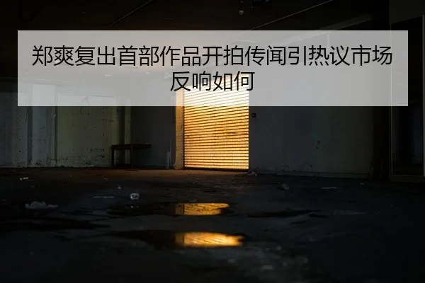 郑爽复出首部作品开拍传闻引热议市场反响如何