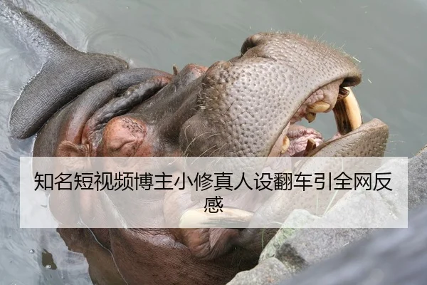 知名短视频博主小修真人设翻车引全网反感